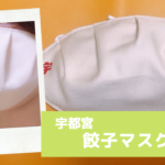 「宇都宮餃子マスク」がついに発売!サイズは?つけ心地は?