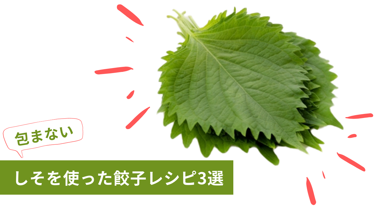 包まない 皮いらず シソ餃子 絶品レシピ３選 ぎょうざ Com