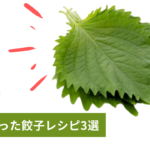 包まない！皮いらず!?「シソ餃子」絶品レシピ３選