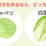 餃子はキャベツと白菜どっち派？中国は白菜って本当!?