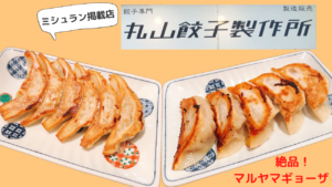 ミシュラン掲載の丸山餃子製作所が安い！絶品！