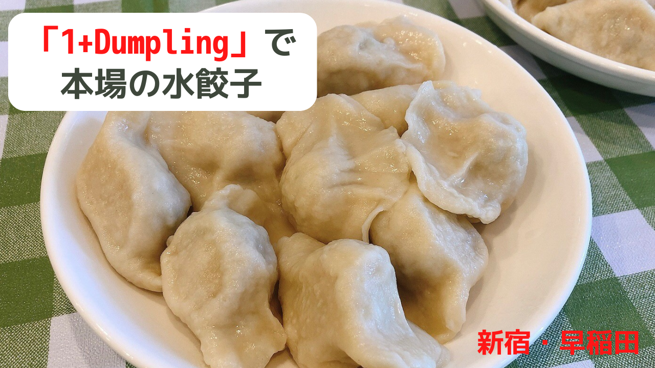 早稲田「1+ Dumpling」の水餃子が安くて絶品すぎた