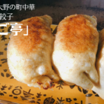 市川大野「ひさご亭」の大きすぎる餃子に驚愕！