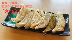 宇都宮「さつき」本店の餃子はどれも絶品で感動しまくり! 宇都宮・さつき