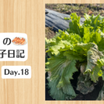 餃子日記：2026年1月18日