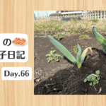 餃子日記：2026年3月7日