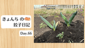 餃子日記：2026年3月7日