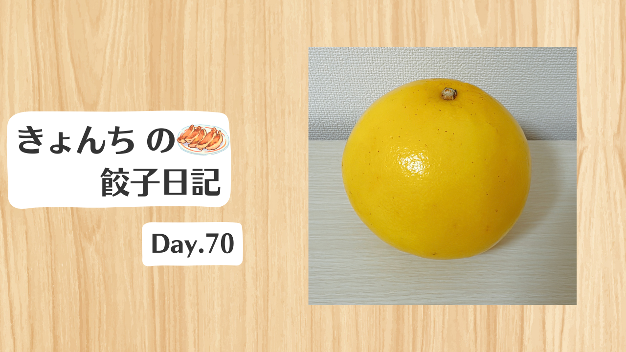 餃子日記：2026年3月11日