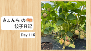 餃子日記：2026年4月26日
