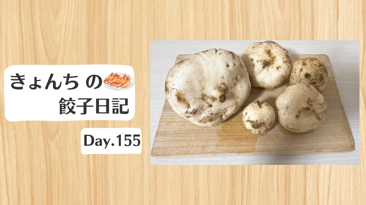 餃子日記：2026年6月4日