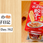 餃子日記：2026年6月11日