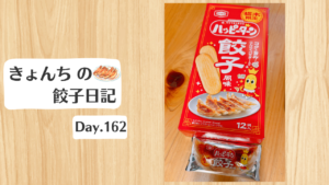 餃子日記：2026年6月11日