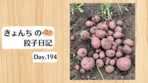 餃子日記：2026年7月13日