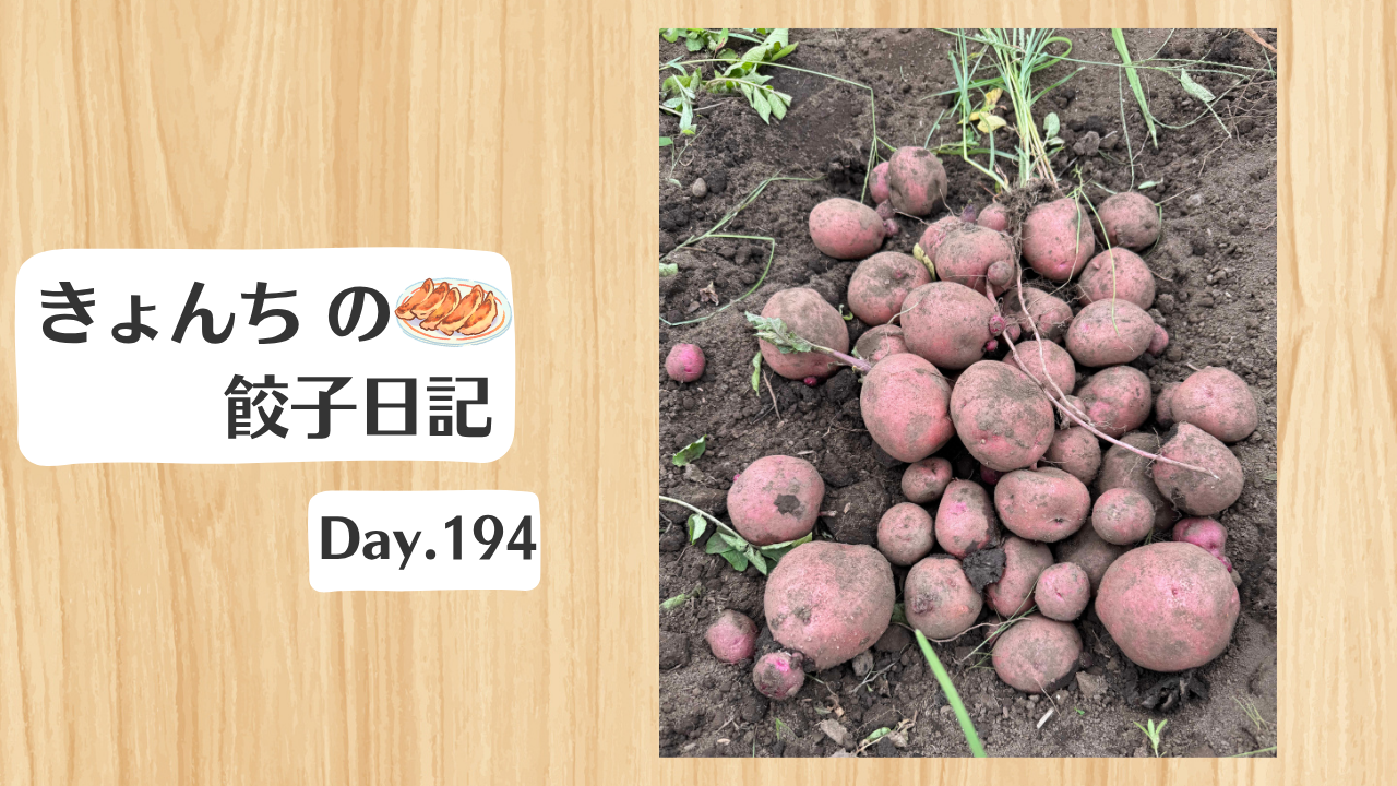 餃子日記：2026年7月13日