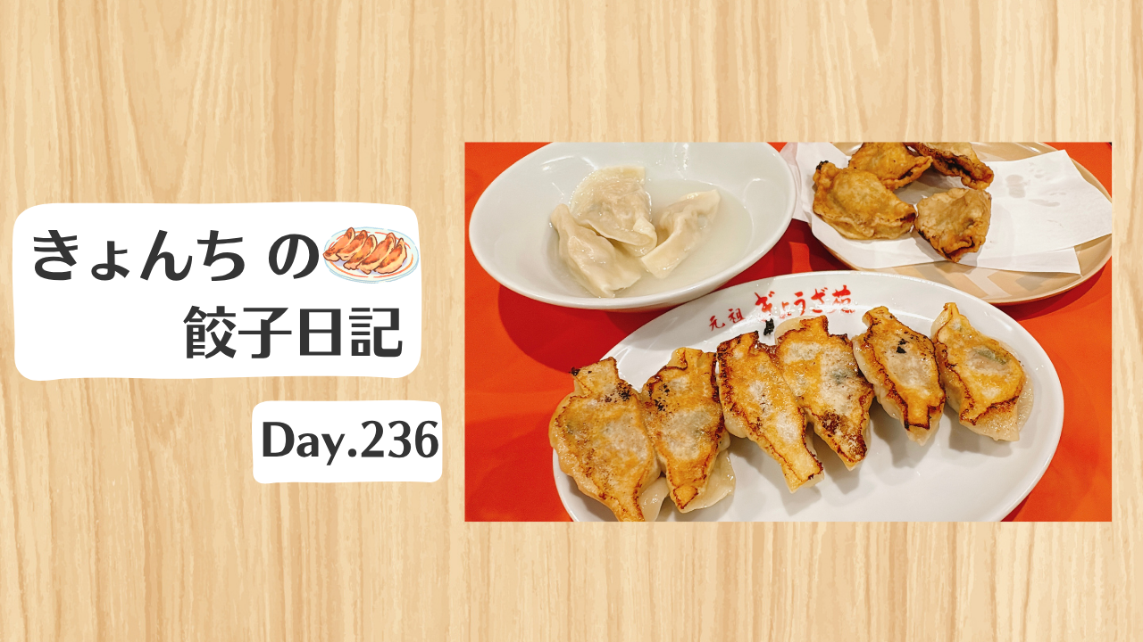餃子日記：2026年8月24日