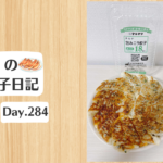 餃子日記：2026年10月11日