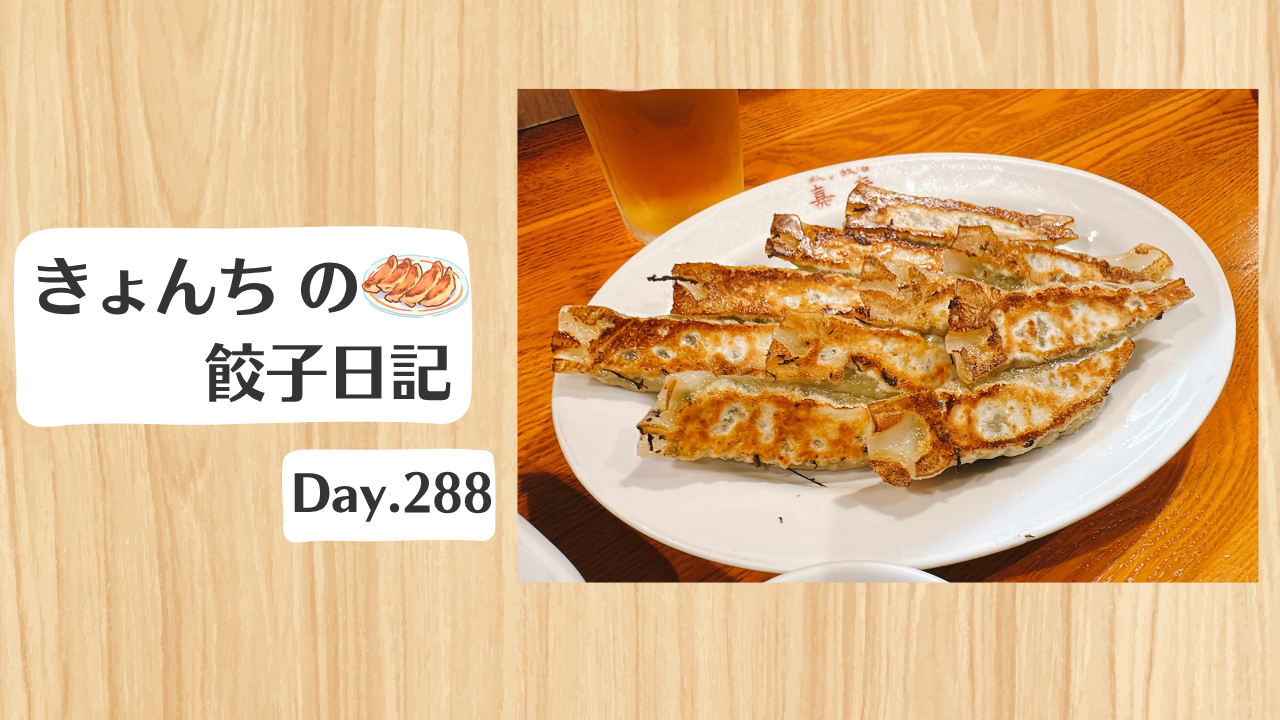 餃子日記：2026年10月15日